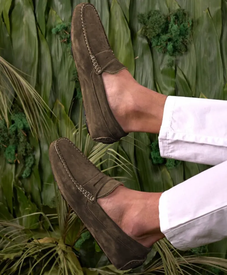Uomo D'Arienzo Capri - Mocassino scamosciato fango da uomo