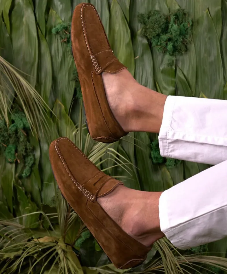 Uomo D'Arienzo Capri - Mocassino scamosciato marrone da uomo