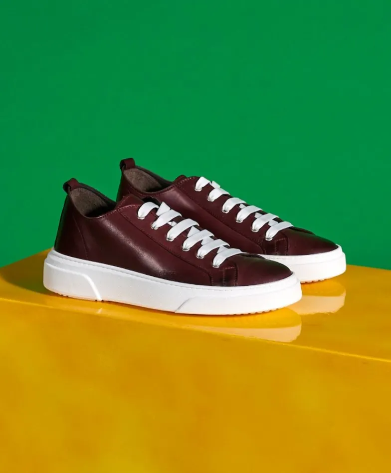 Uomo D'Arienzo Pisa - Sneakers in pelle bordeaux da uomo