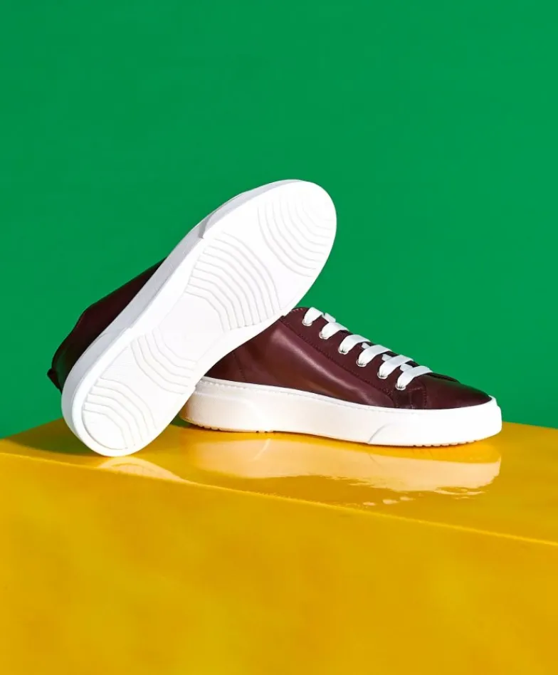Uomo D'Arienzo Pisa - Sneakers in pelle bordeaux da uomo