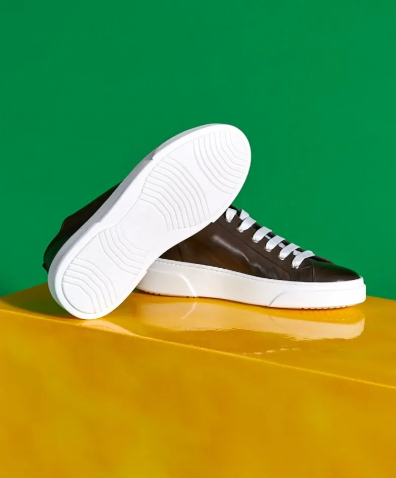 Uomo D'Arienzo Pisa - Sneakers in pelle fango da uomo