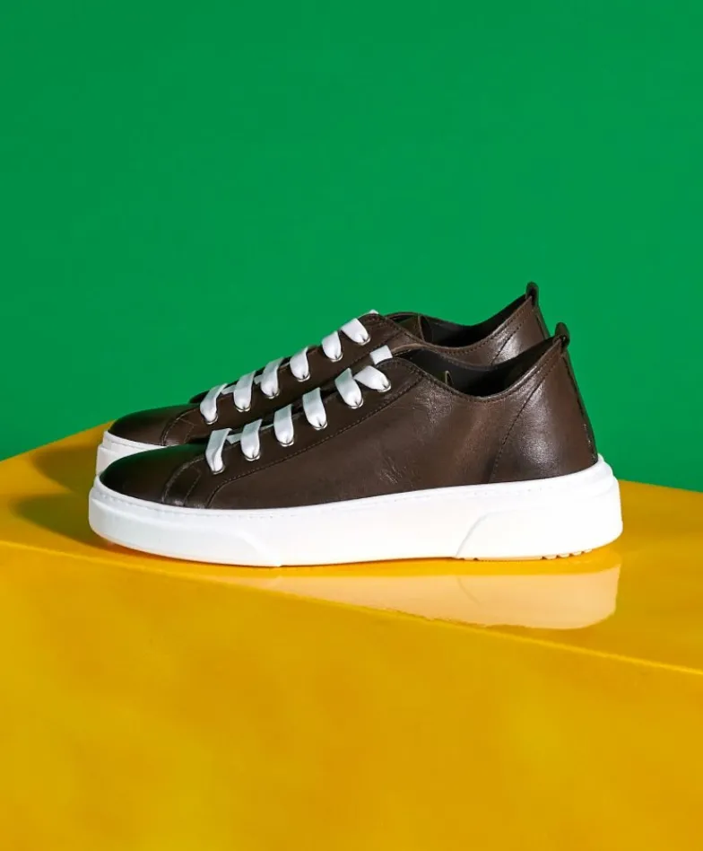 Uomo D'Arienzo Pisa - Sneakers in pelle fango da uomo