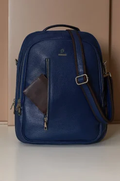 D'Arienzo Zen - Zaino in pelle blu di vitello stampa dollaro